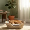 🐾 Panier pour chat ou chien en feuilles de palmier – Artisanat marocain